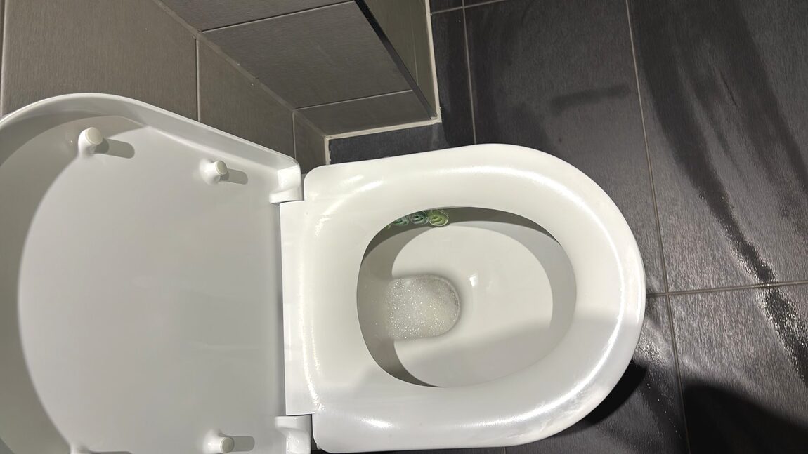 Toilet cleaned and sanitised