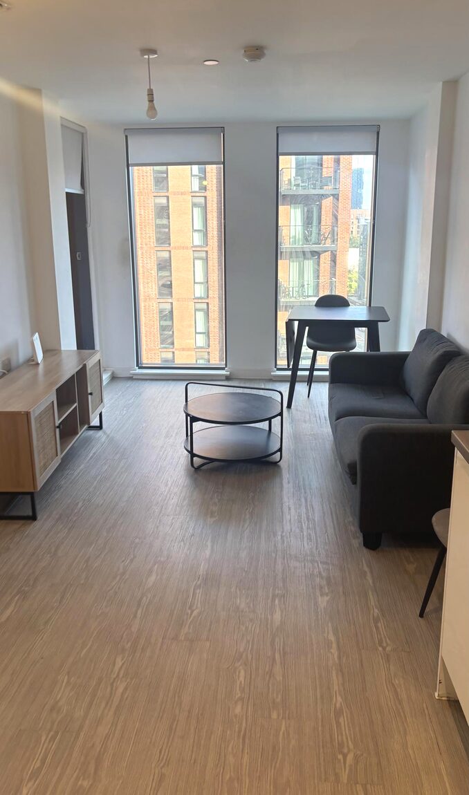 Apartment living room after a clean